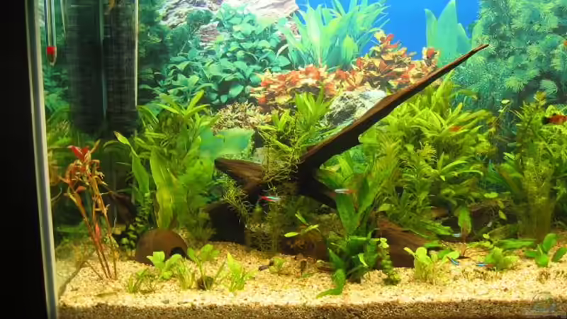 06.03.08 von andi.B (3)