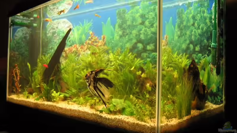 06.03.08 von andi.B (4)