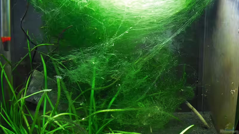 06.03.10 von Mario74 (6)