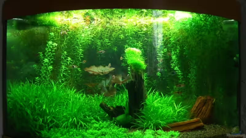 06.03.2009 von Paul (1)