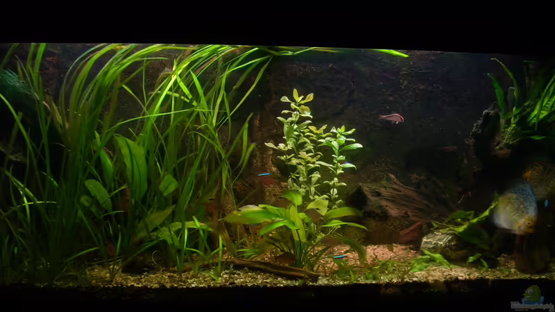 06.03.2012 von @quarium Cologne (13)