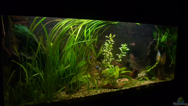 06.03.2012 von @quarium Cologne (15)