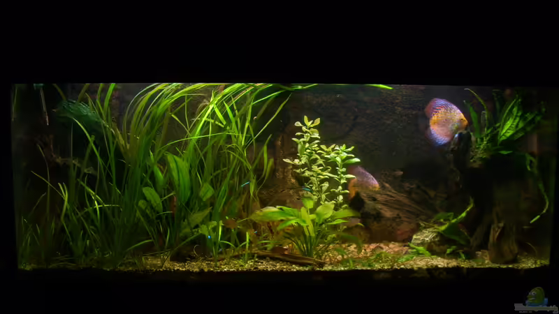 06.03.2012 von @quarium Cologne (19)