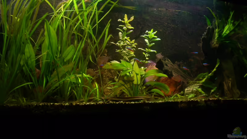 06.03.2012 von @quarium Cologne (20)