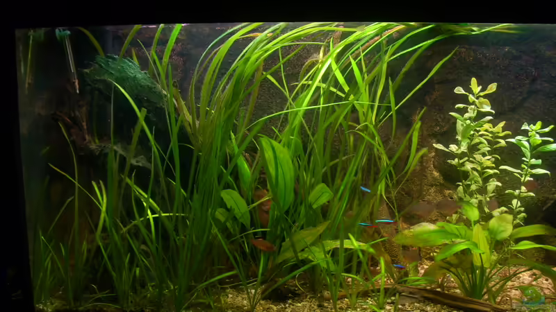 06.03.2012 von @quarium Cologne (3)