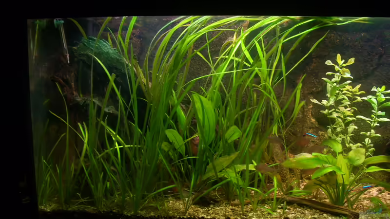 06.03.2012 von @quarium Cologne (5)