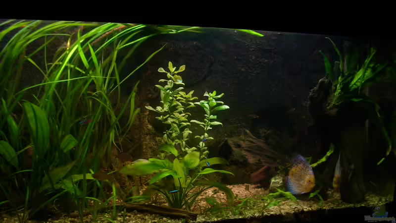 06.03.2012 von @quarium Cologne (8)