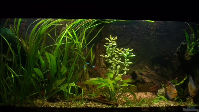 06.03.2012 von @quarium Cologne (9)