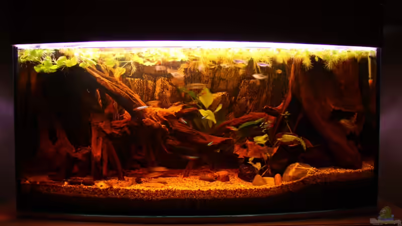 06.03.2012 von SouthAmerica (7)