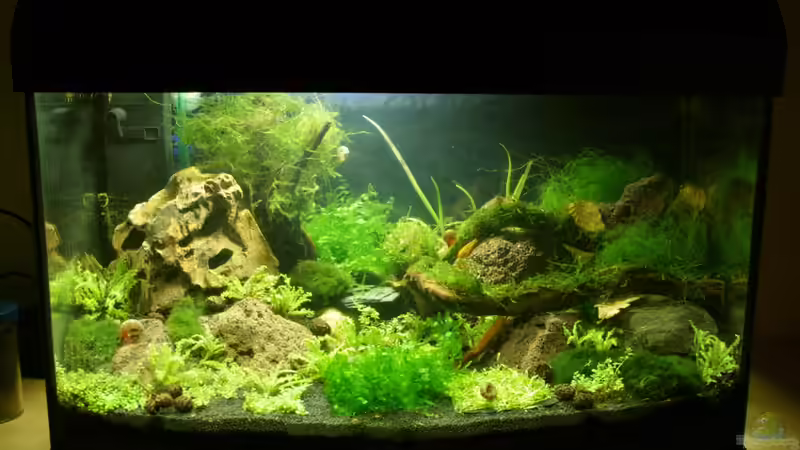 06.03.2012 von SouthAmerica (7)