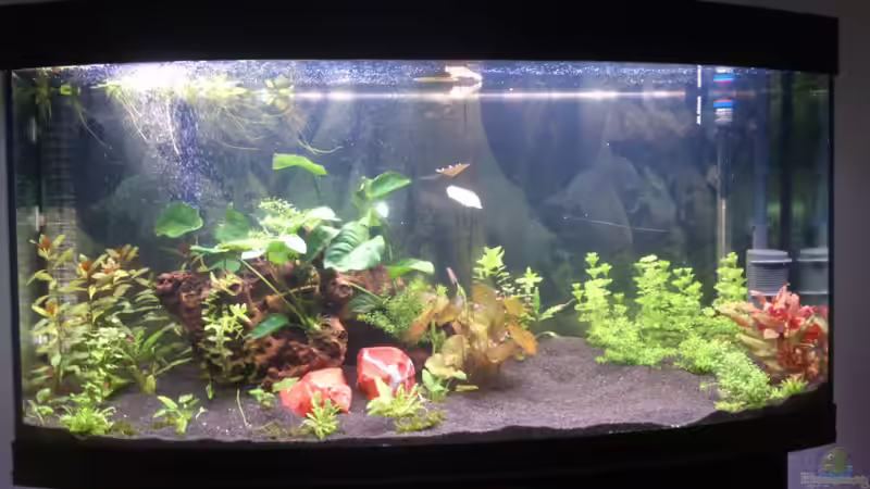 06.03.2014 von Wall-E (5)