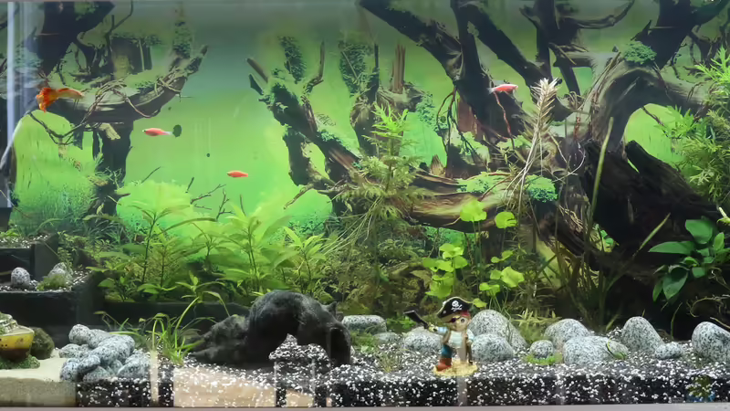 06.03.2018 von kielerteam (2)