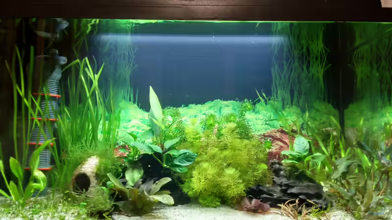 06.03.21 von Lily (16)