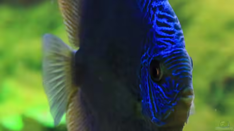 06/05/2016 von Phil Cave (25)