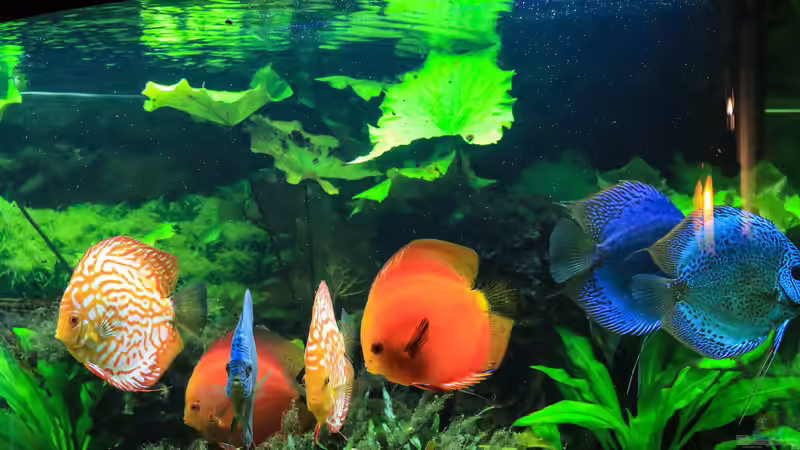 06/05/2016 von Phil Cave (41)