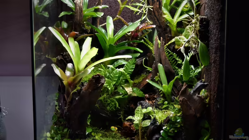 06.05.2022 von Junglist (3)