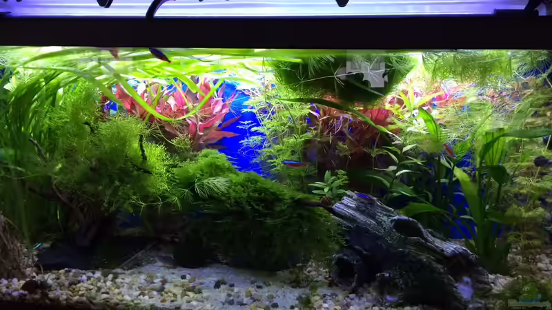 06.06.16 von .Andreas. (1)