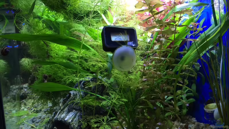 06.06.16 von .Andreas. (54)