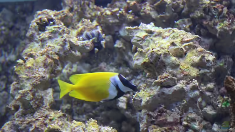 06.07.2010 von Stephan Ascher (52)