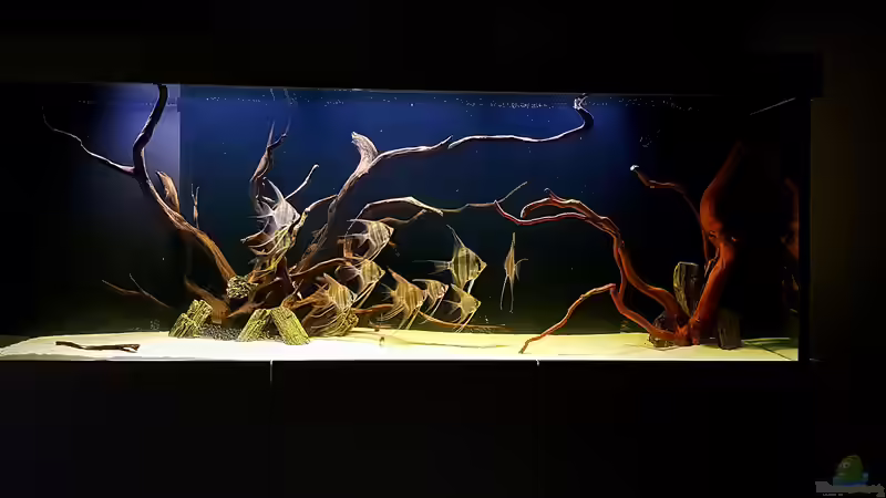 06.07.2018 von Dani B (13)