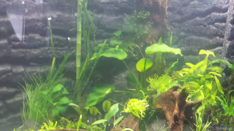 06.09.14 von sonic85 (13)