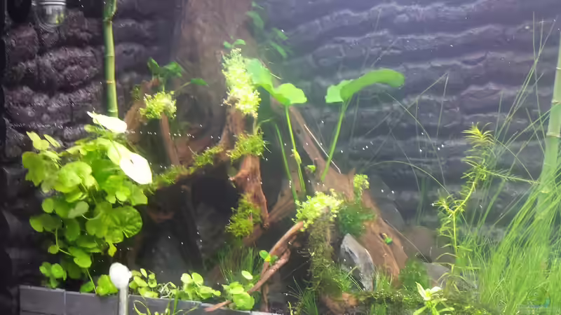 06.09.14 von sonic85 (16)