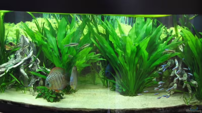 06.09.2009 von Stefan (4)