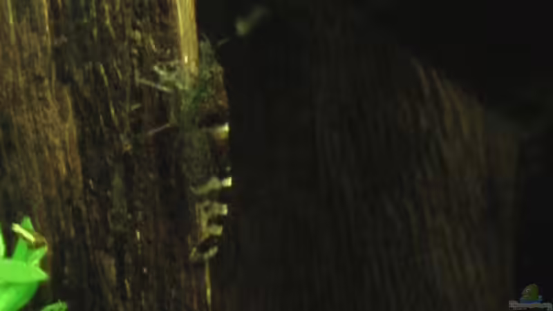 06.09.2010 von *Lucie* (50)