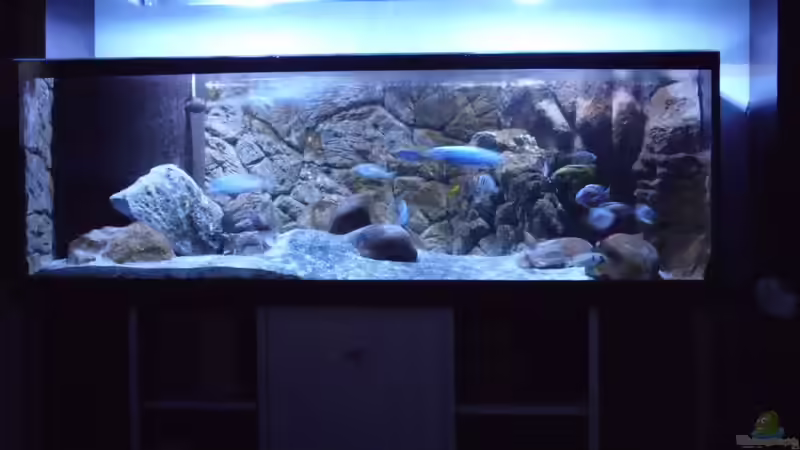 06.09.2013 geändertes Layout von Noah (7)