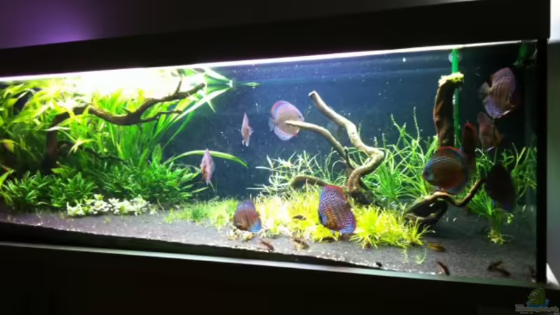 06.10.2011 von Dani B (2)