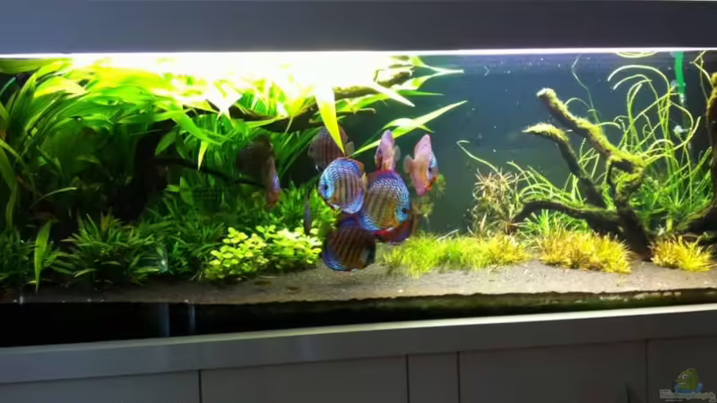 06.10.2011 von Dani B (3)