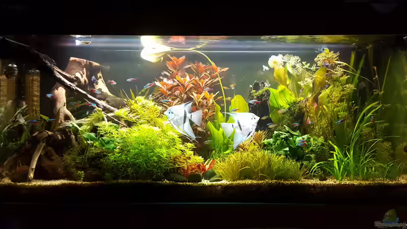 06.10.2018 von Mel (7)