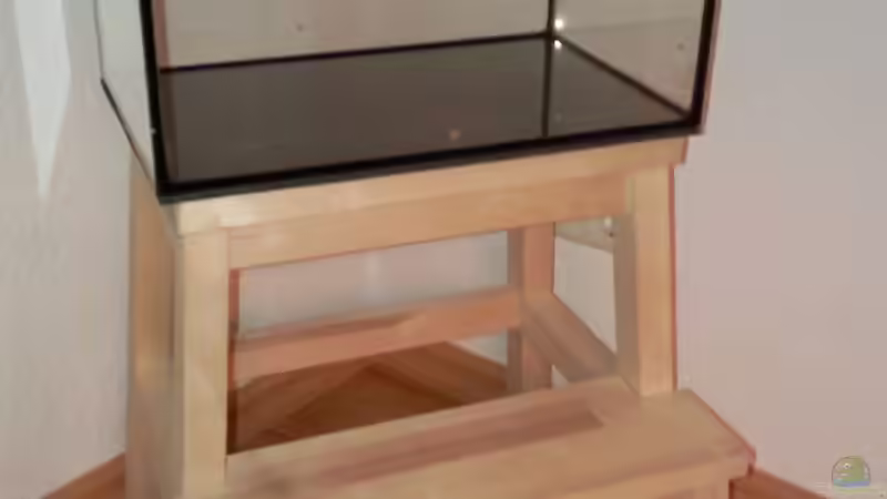 06.11.09 Schritt fuer Schritt von lützkopf (2)