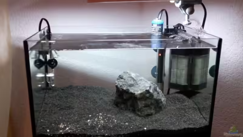 06.11.09 Schritt fuer Schritt von lützkopf (4)