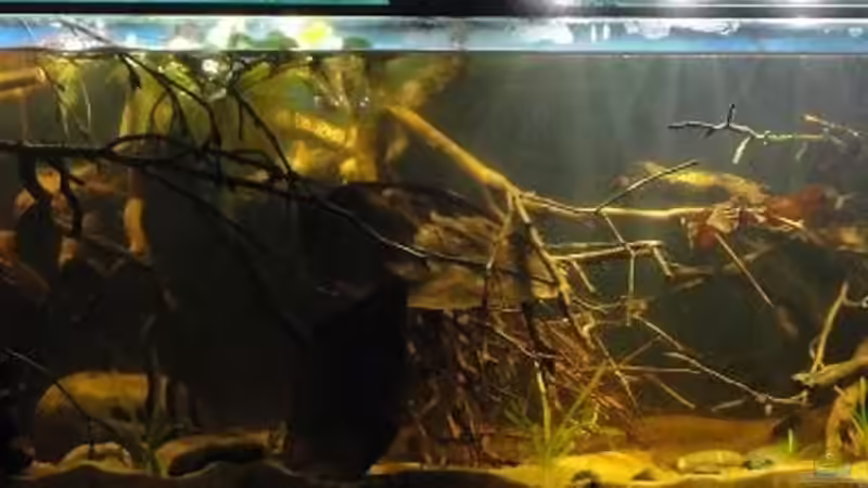 06.11.13 von Laura (19)