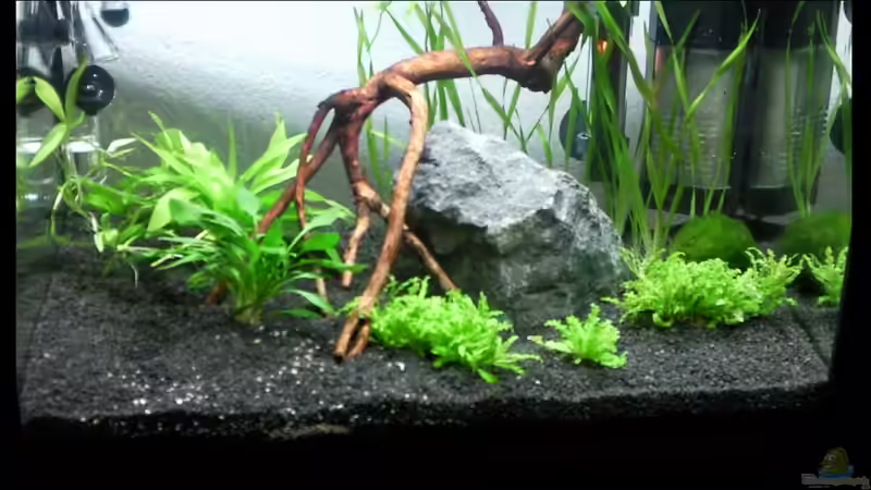 06.11.2009 von lützkopf (5)