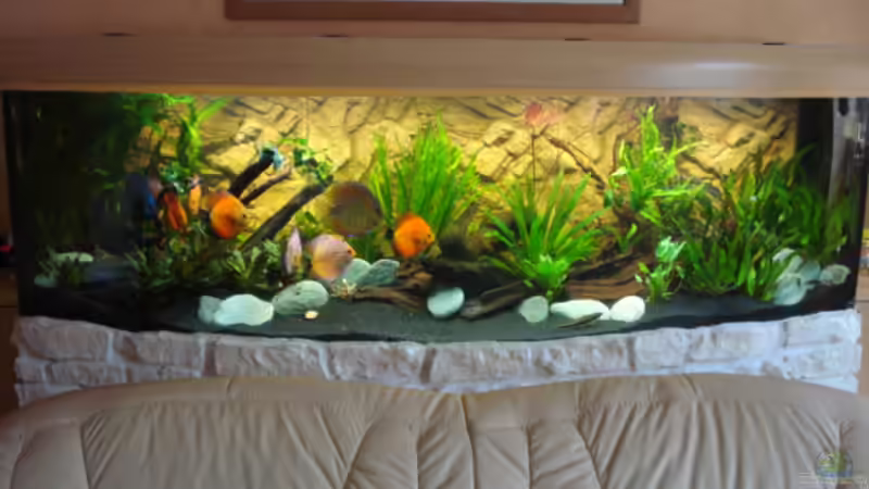 06.11.2011 von matze70 (16)