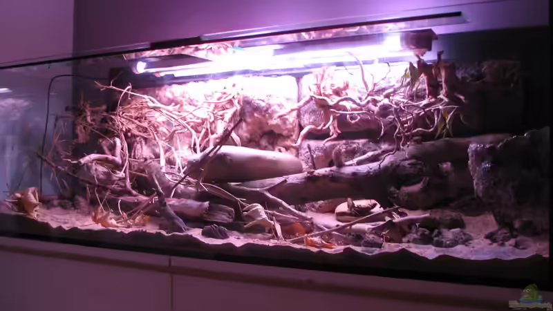 06.11.2015 Trocken Aufbau von der Theoretiker (23)