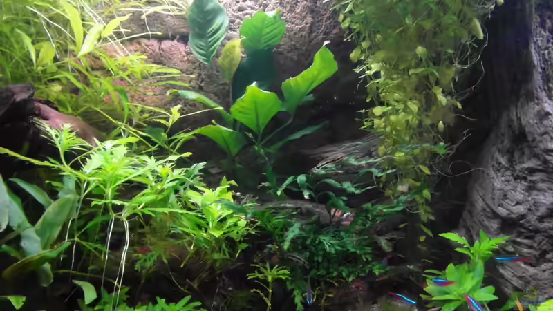 06.12.2013 von Intershrimpview (22)