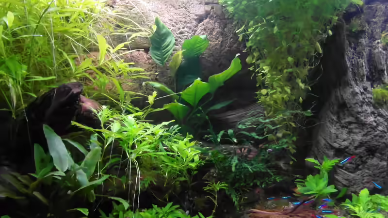 06.12.2013 von Intershrimpview (25)