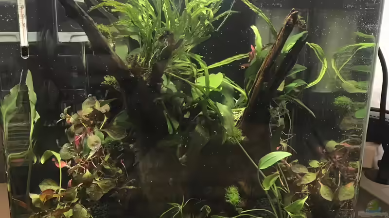 06.12.2019 von Frank T. (5)