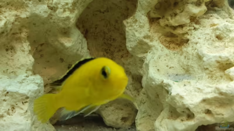 07.01.2014 von benjamin (10)