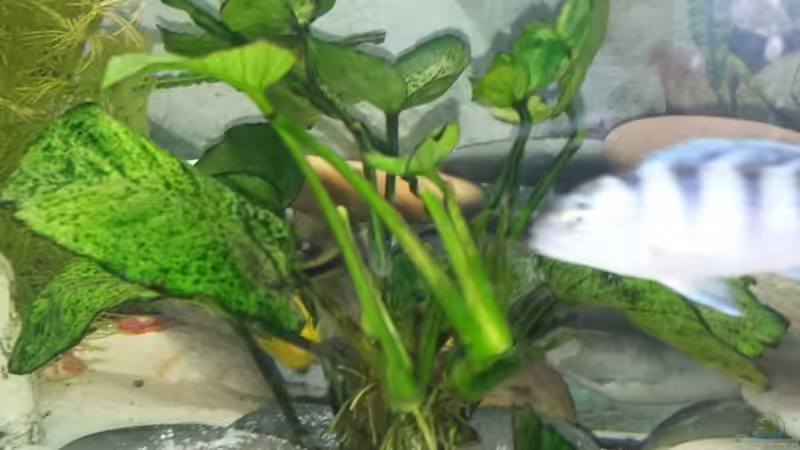 07.01.2014 von benjamin (7)