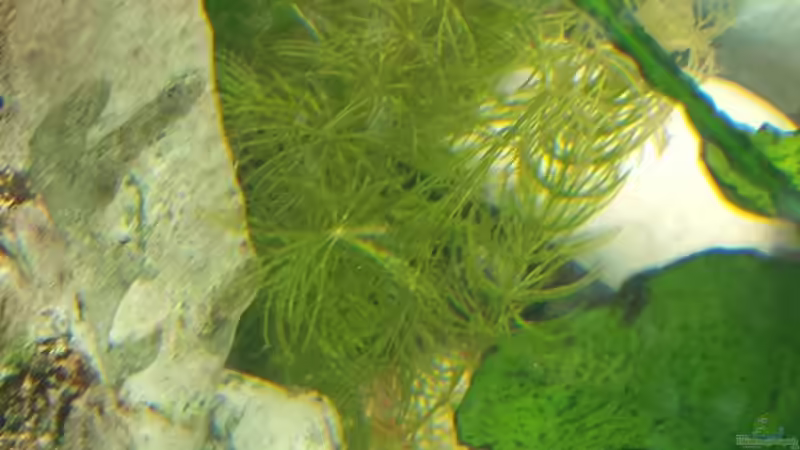 07.01.2014 von benjamin (9)