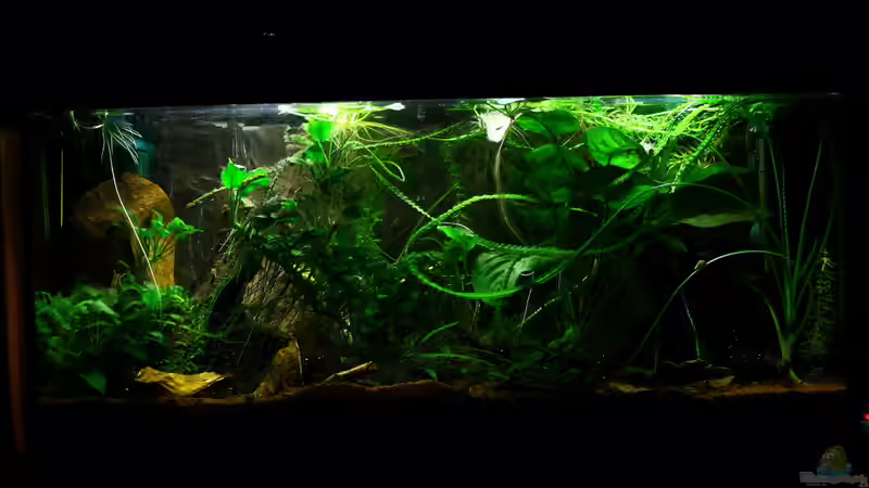 07.01.2014 von Koehler (16)