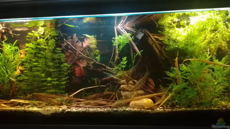 07.01.2018 von der Theoretiker (11)