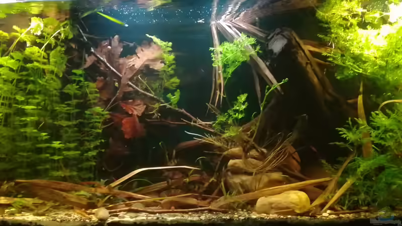 07.01.2018 von der Theoretiker (9)