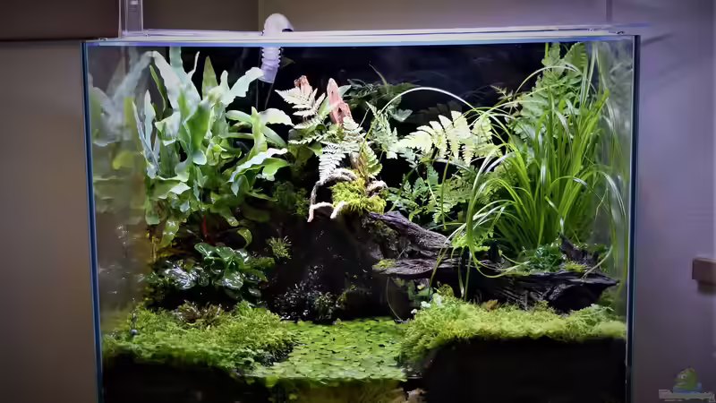 07.01.2020 von Junglist (2)