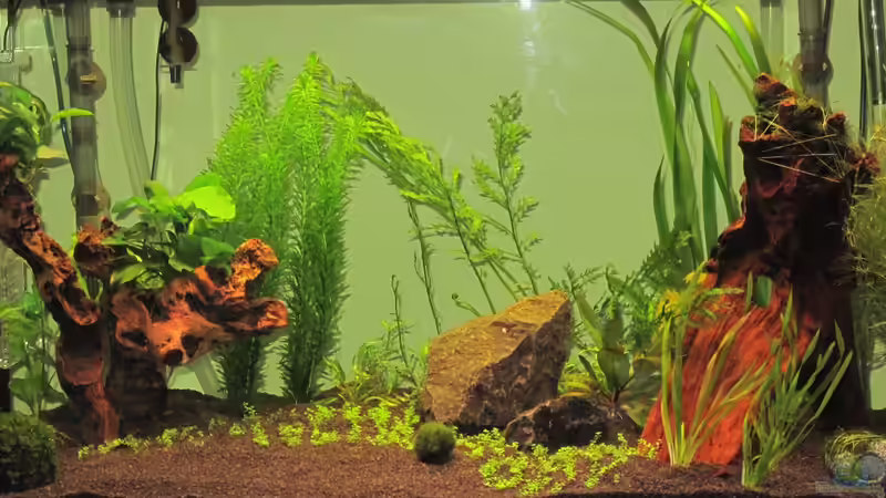 07.02.13 von Tanja (5)