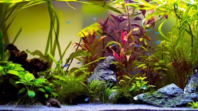 07.02.2011 von Fabian Ber (6)